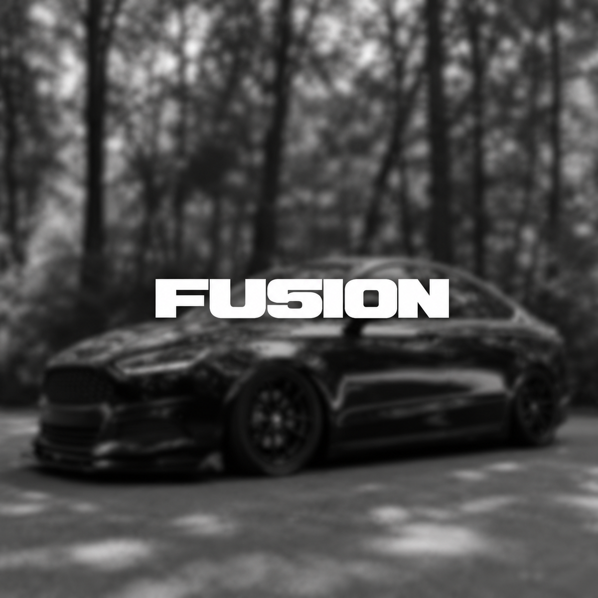 Fusion