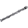 Camshaft (#19)
