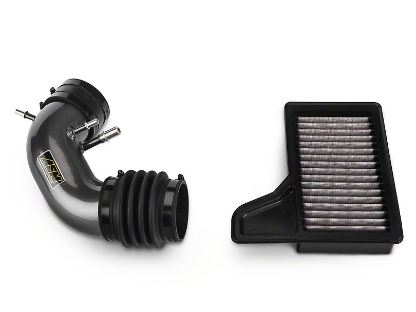 AEM Intake Tube w/ DryFlow Replacement Filter