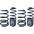 Boss 302 Lowering Springs