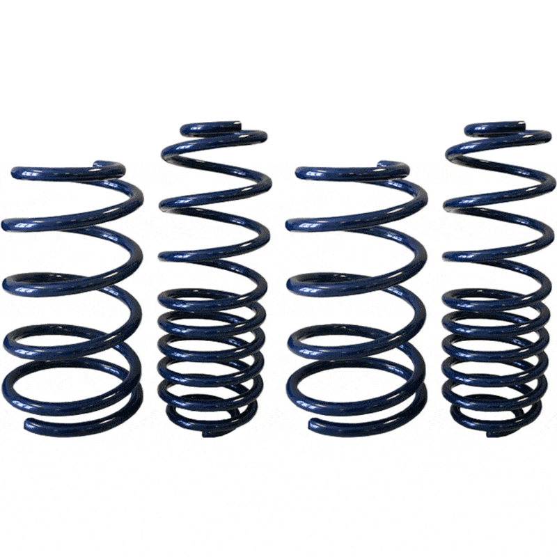 Boss 302 Lowering Springs