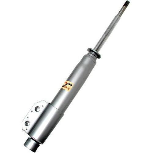 Front Struts