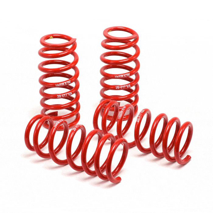 Race Springs
