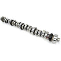 Camshaft (B303)