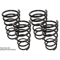 Lowering Springs