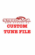 Tune File For VCT DELETE ONLY