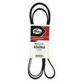 79'' 8-Rib Belt - For 4PSI Crank Pulley w 2.93'' S/C Pulley