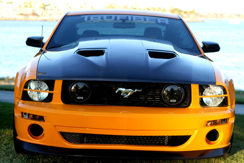 2005-2009 Mustang A29 Heat Extractor Hood (V6/GT)