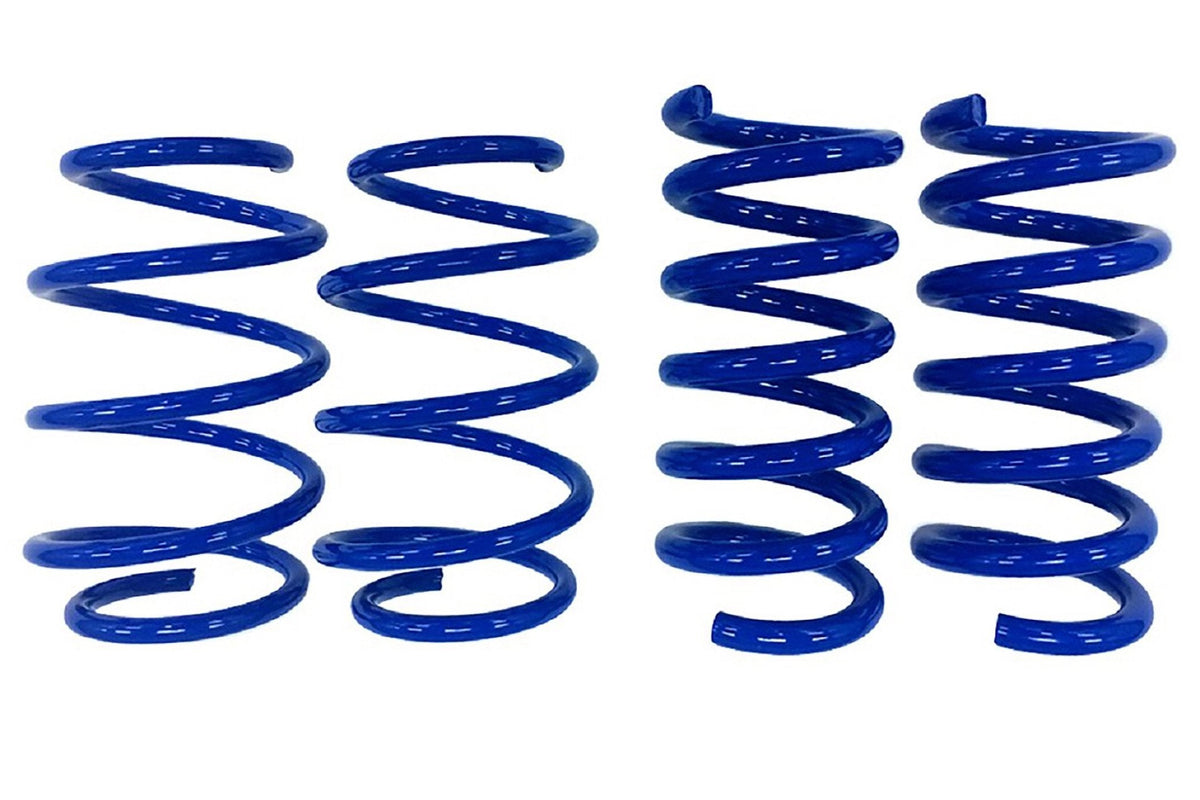Steeda S550/S650 Mustang GT Drag Springs - Linear (2015-2024)