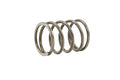 Steeda Bronco Clutch Spring Kit (2021-2025)